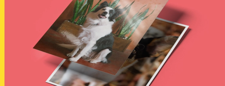 Klassisk fotoudskrift